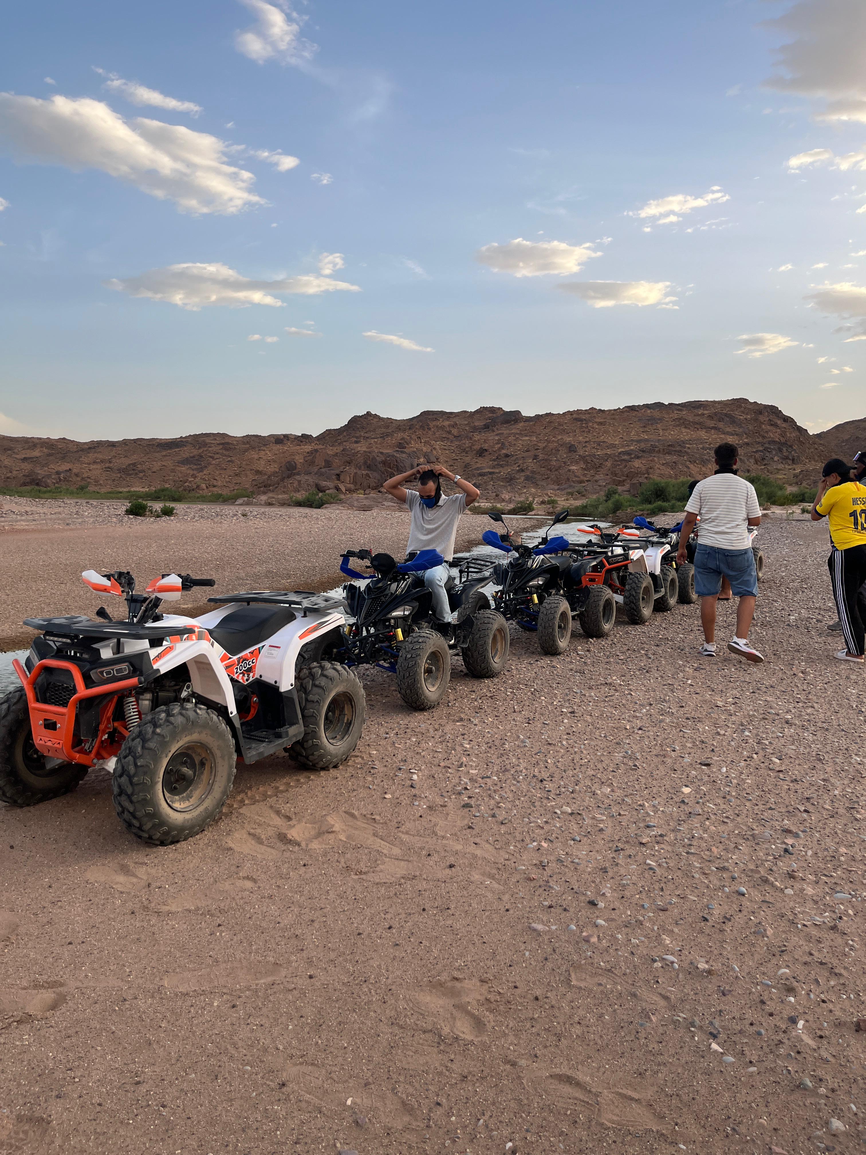 Desert landscape