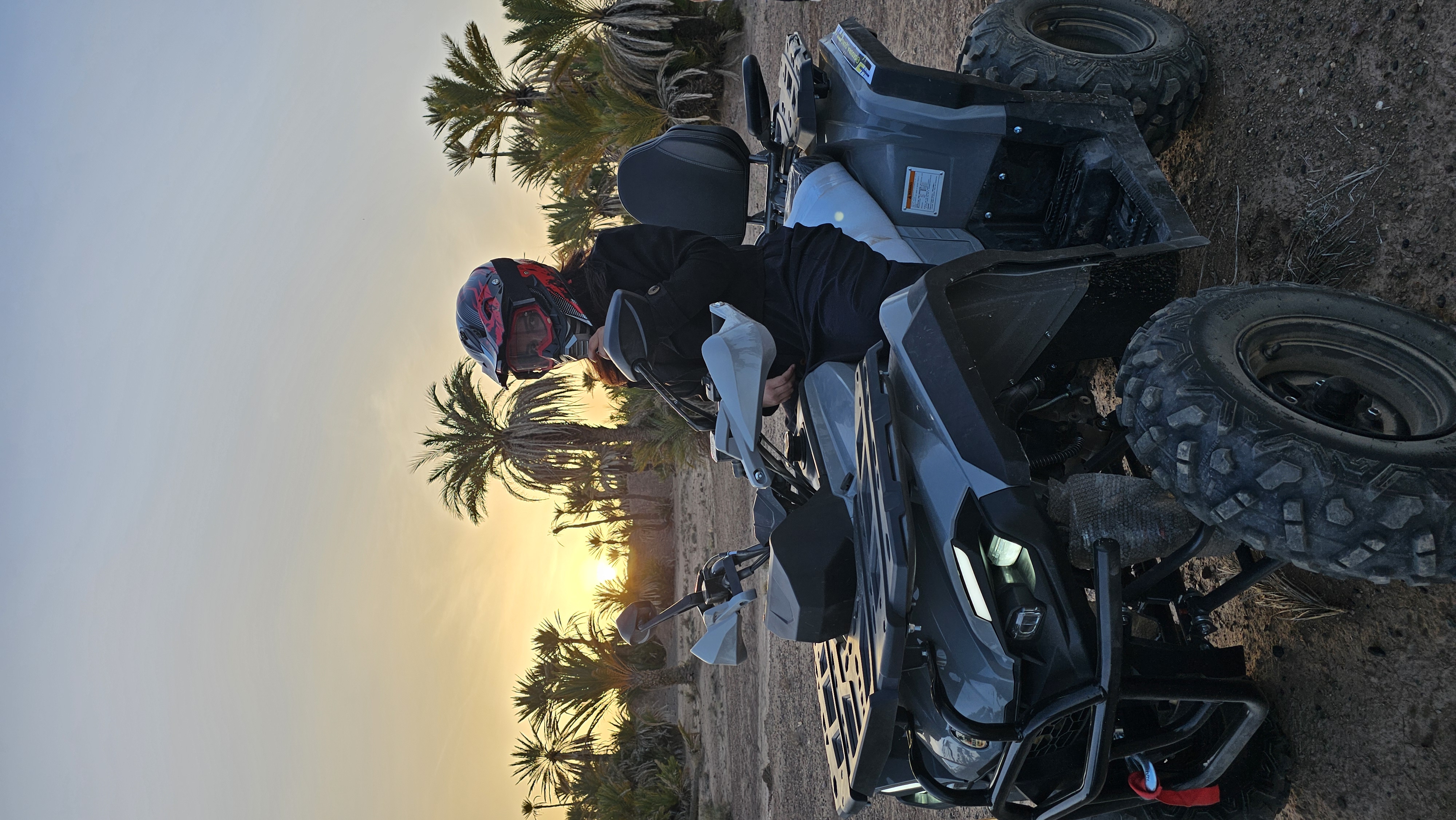Quad bikes lined up in the desert